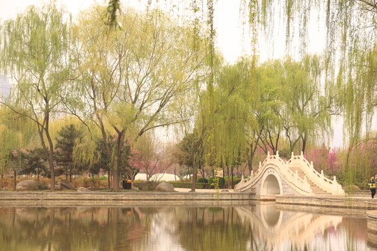 隋唐植物園