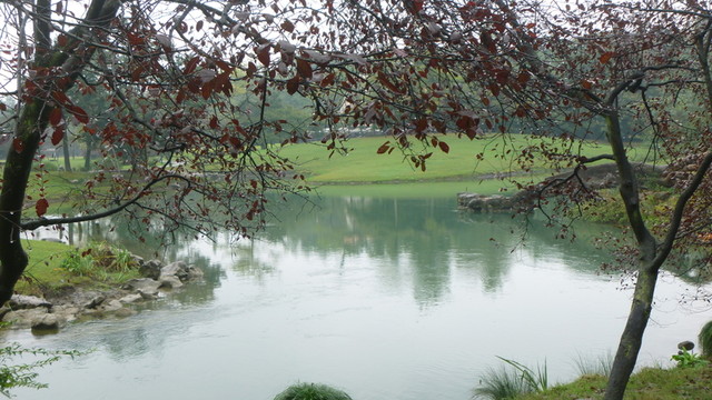 水面