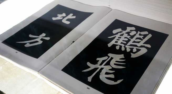 東坡集 蘇東坡 蘇公祠 旅游