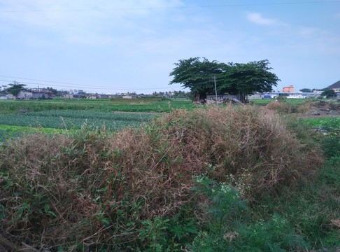 風(fēng)景