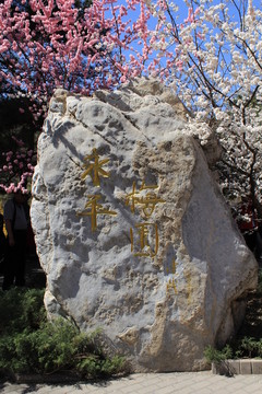 永平 梅園