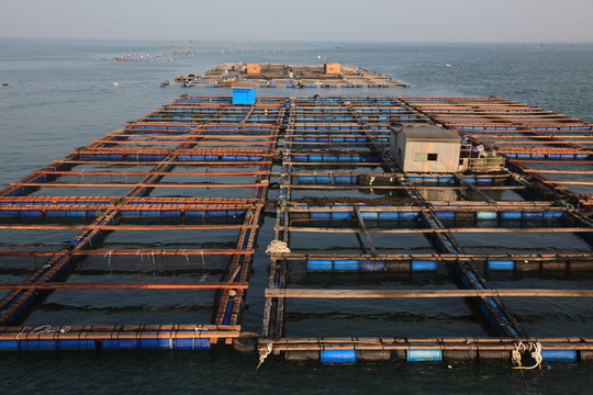 海上漁排