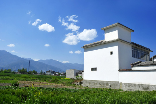 田野家園