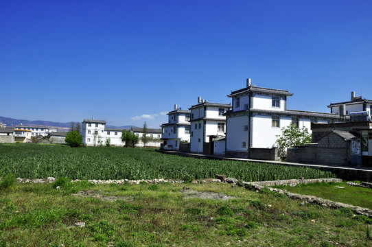 農(nóng)村家園