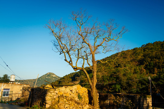 福建農(nóng)村