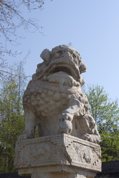 西安小雁塔 拴馬樁