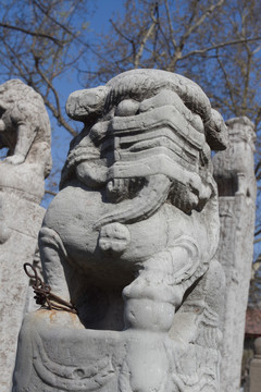 西安小雁塔 拴馬樁