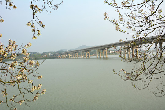石拱橋