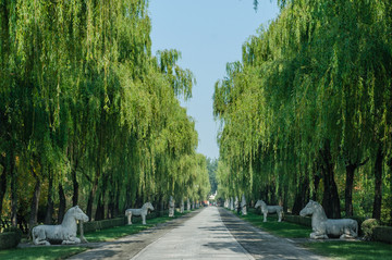 明十三陵總神路