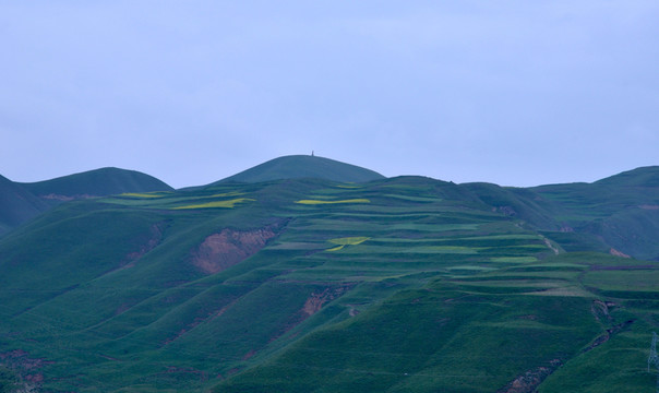 大山 農(nóng)田