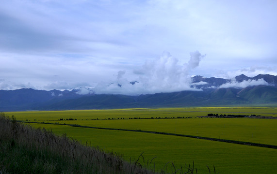 田園風(fēng)光