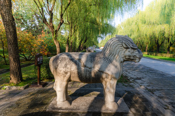 明十三陵總神路狻猊立像