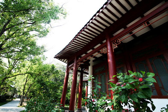 園林景觀