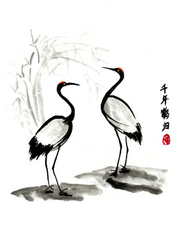 丹頂鶴 （未分層）