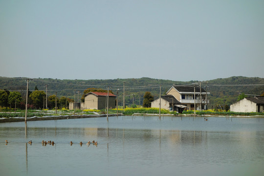 太湖農(nóng)村景色