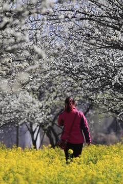 美女游春
