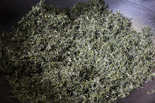 茶 茶葉 特寫 炒茶 碧螺春