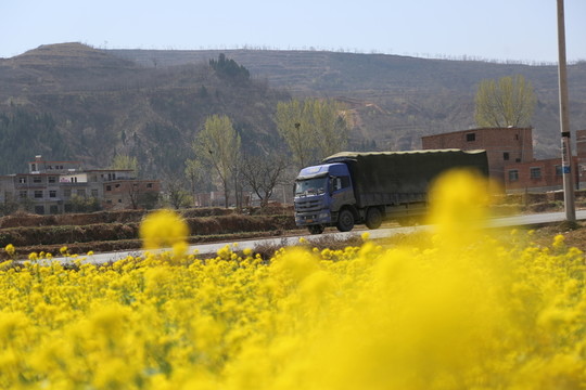 鄉(xiāng)村道路