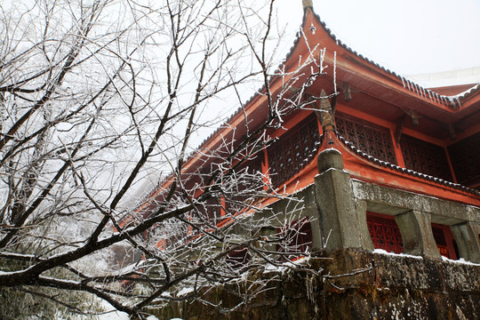 雪景 冬季 冬雪 樂山 旅游