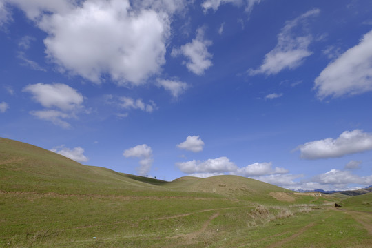 高山牧場
