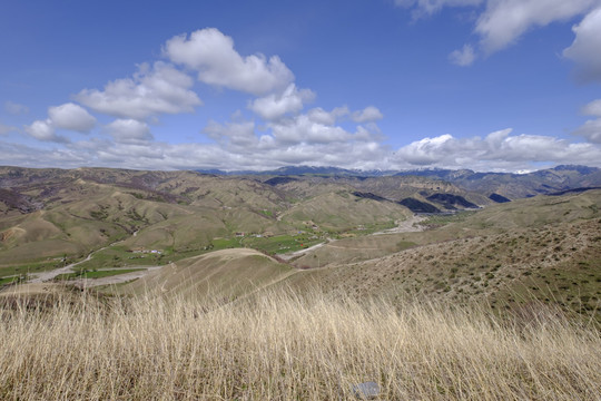 高山