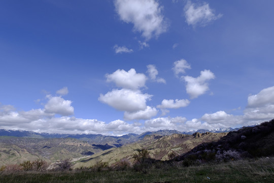 高山