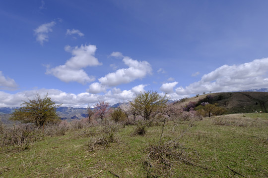 大西溝