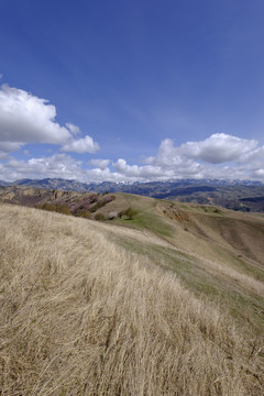 高山