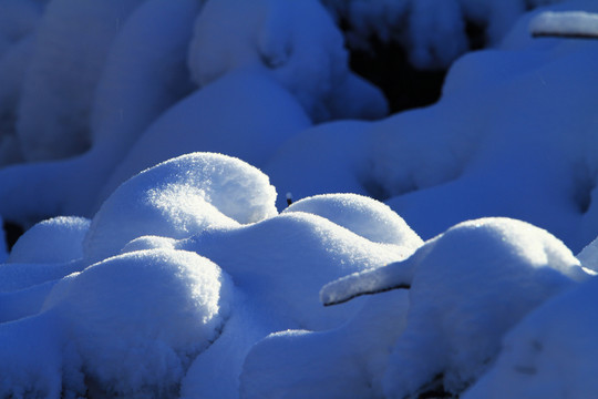 雪包