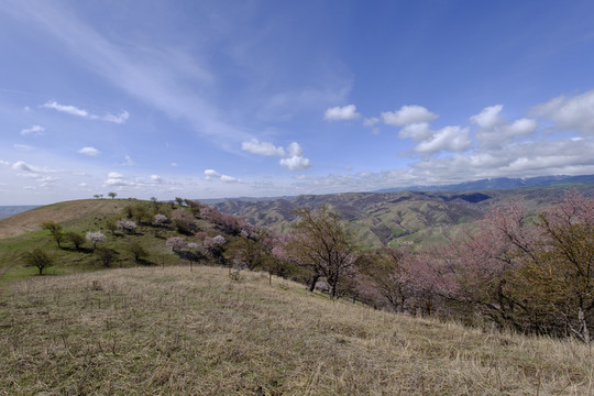 高山
