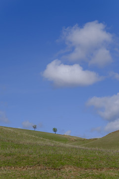 綠色山坡