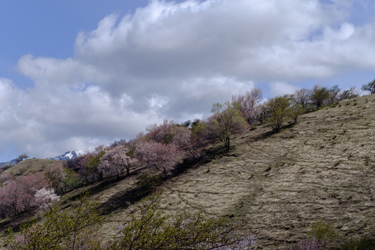 大山