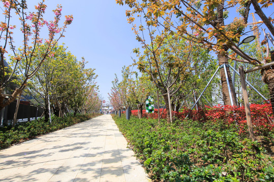石板路面