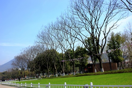 南京情侶園
