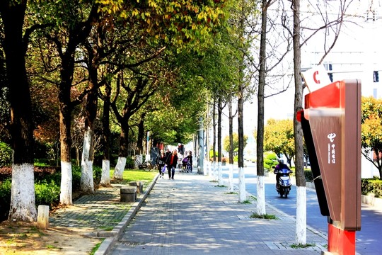 情侶園