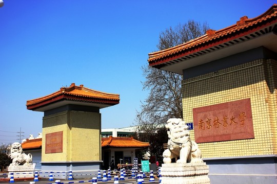 南京林業(yè)大學(xué)風(fēng)光