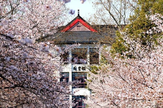 南京林業(yè)大學(xué)風(fēng)光