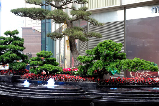 花壇造型 花圃 花壇