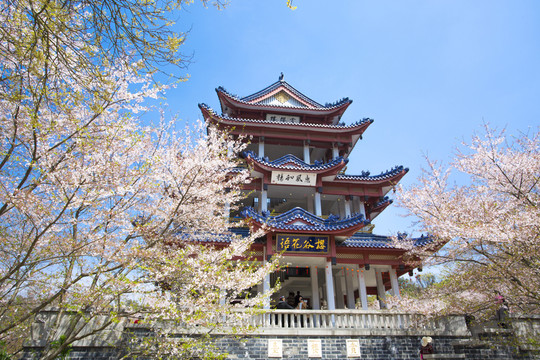 黿頭渚