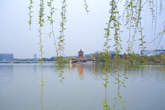 泰州