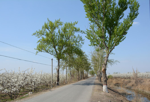 鄉(xiāng)村美景
