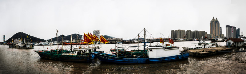 漁港全景