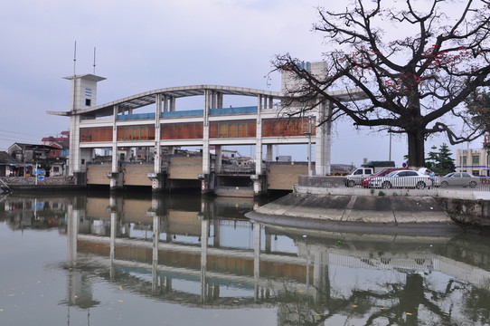 風(fēng)景