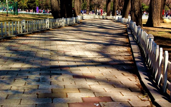 路