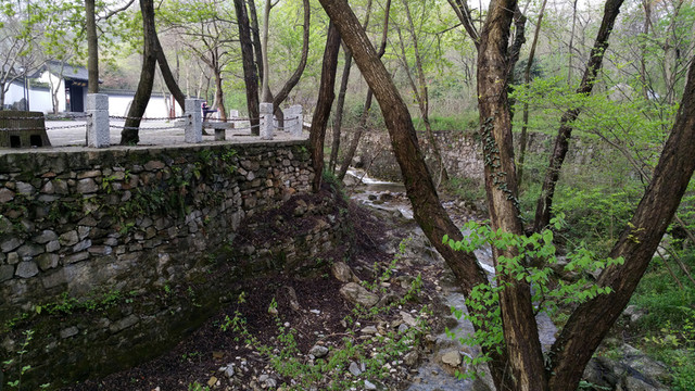 瑯琊山同樂園 溪流