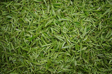 清明茶