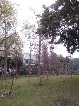 公園一角