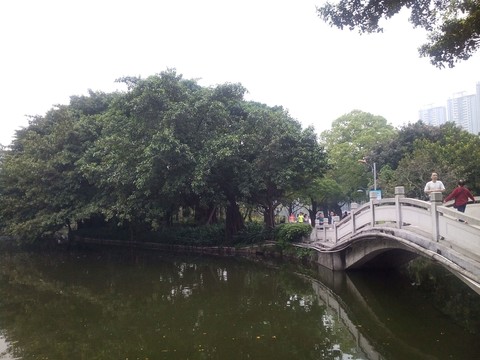 湖水與橋