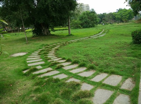 路