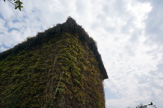 生態(tài)房